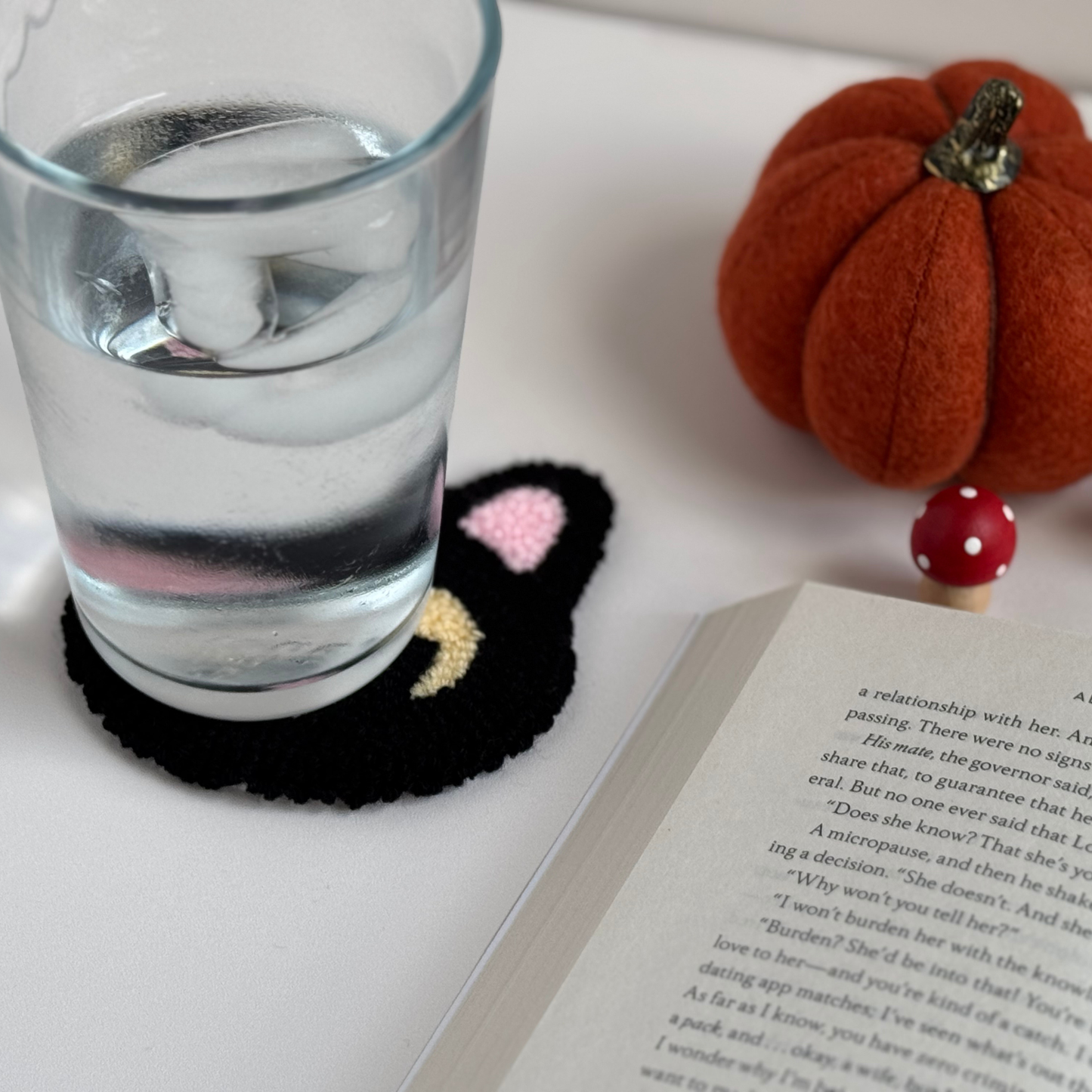 Cat Coaster